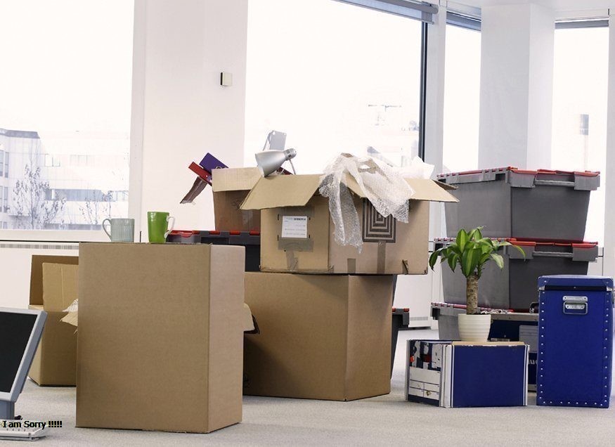 junk removal company in rochester ny